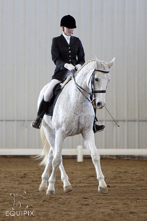 Visit Lindinhof Equine Sports Zentrum