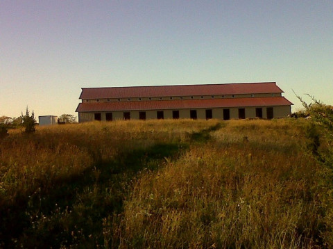 Visit Ridgetop Horse Ranch