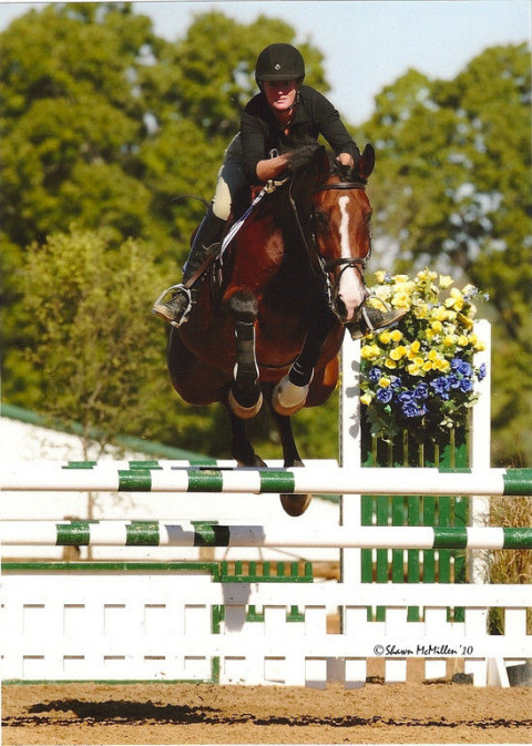 Visit Sherwood Sporthorses @ Buck Grass Stables
