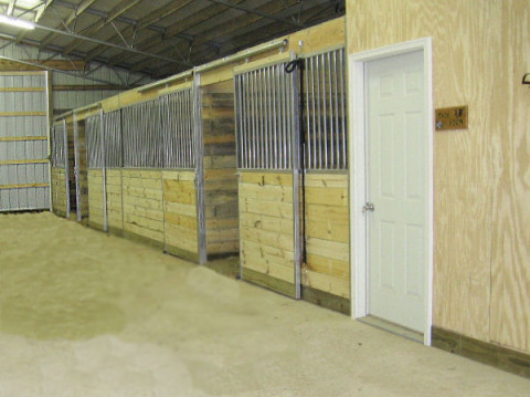Visit Stapleton Farm