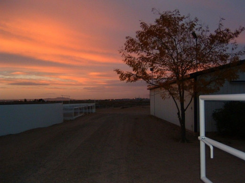 Visit Desert Sky Ranch