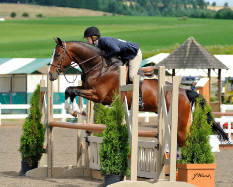 Visit Triple Rise Equestrian Center