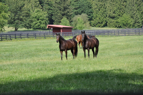 Visit Jones & Jones Farm