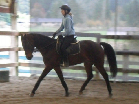 Visit Cedar Grove Equestrian Center LLC