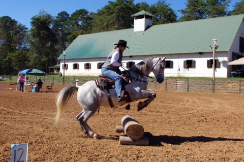 Visit Quarter Turn Ranch