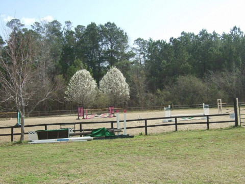 Visit Four Clover Farm