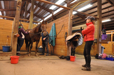 Visit Iron Horse Riding Academy