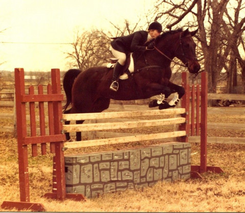 Visit "A to Z"  Riding Lessons