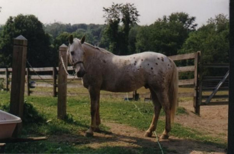 Visit Hobbit Farm