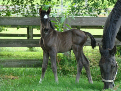 Visit Century Oaks Farm, Ltd.