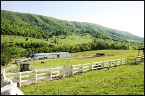 Visit Harmony Hills Equestrian Center, Inc.