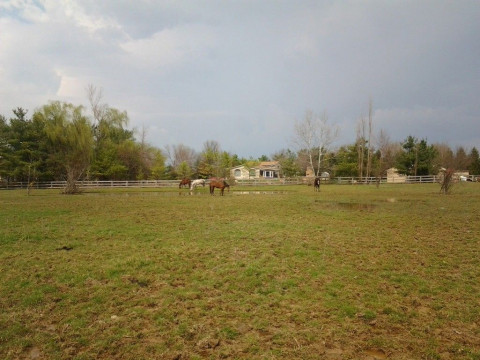 Visit ad-merit acres
