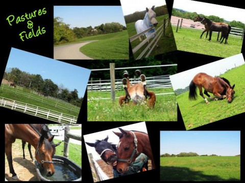Visit HSF Equestrian Center