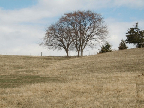 Visit Happy Valley Stables