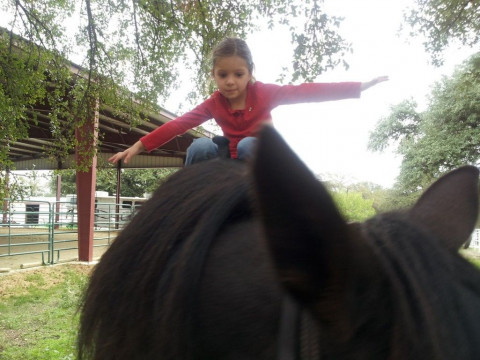 Visit Melody Acres Stable and Riding Academy