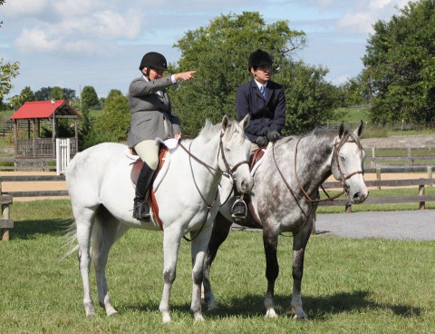 Visit Foxrock Stables