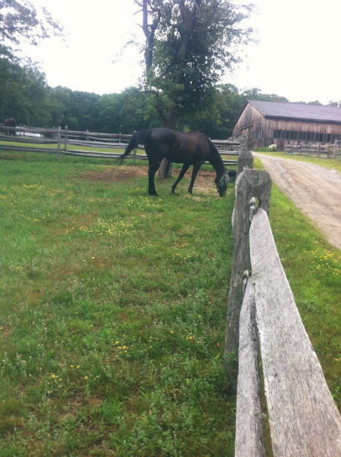 Visit Winthrop farm