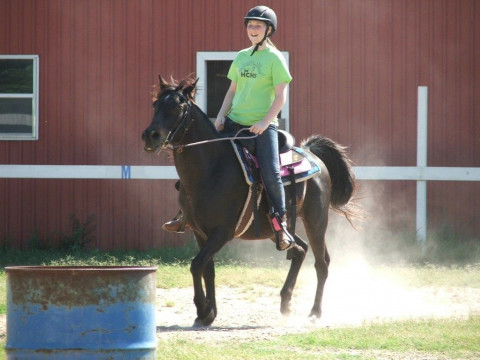 markster eventing courtney wa markster eventing courtney wa