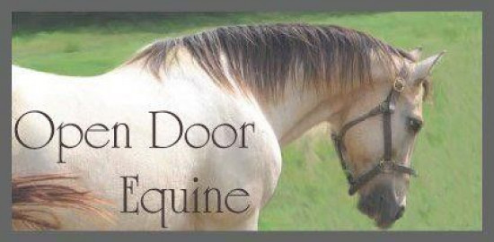 Visit Open Door Equine Inc.