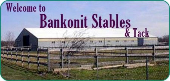 Visit Bankonit Stables