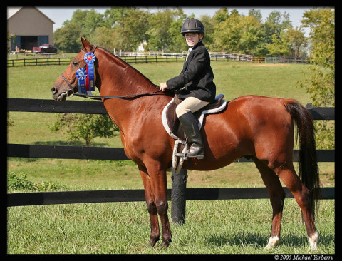 Visit Sunburst Horsemanship School