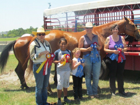 Visit Stephanie Lynn Performance Horses