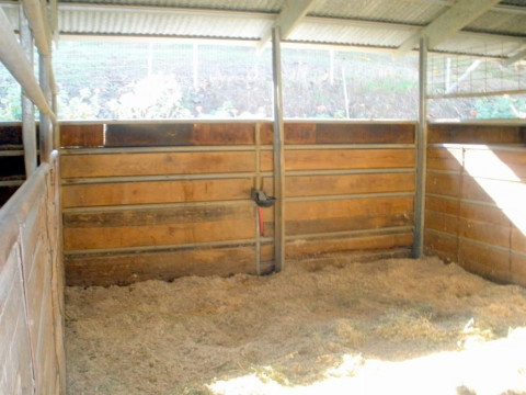Visit Chino Hills Horse Boarding Stables