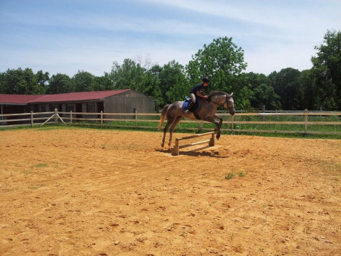 Visit Firefly Farm and Riding School