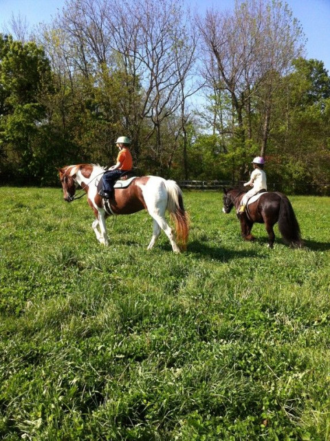 Visit Southport Equestrian Center