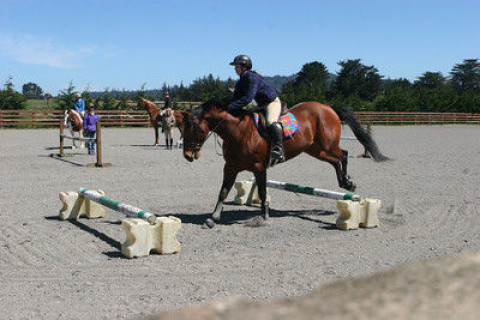 Visit Mertz Training Stables