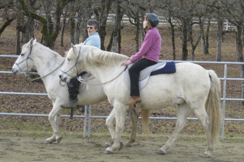 Visit Mystic Paso Fino Ranch