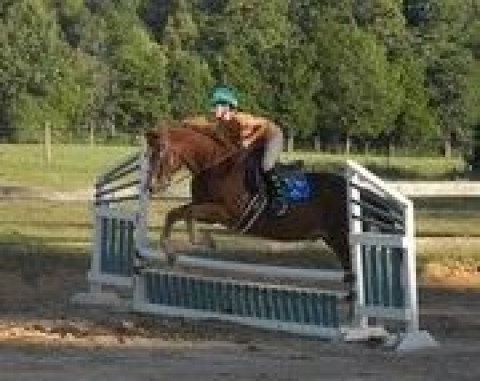 Visit G.L.C. Horse Haven Farm