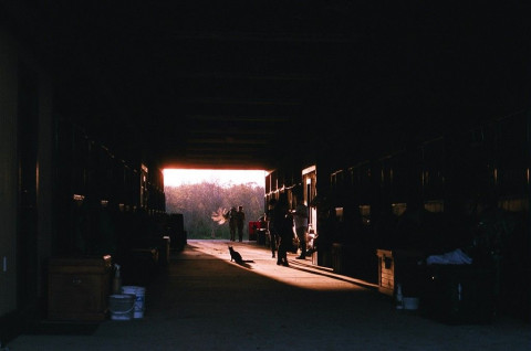 Visit Martin Farms Equestrian Center