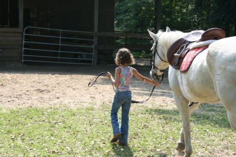 Visit Twin Oak Riding Lessons