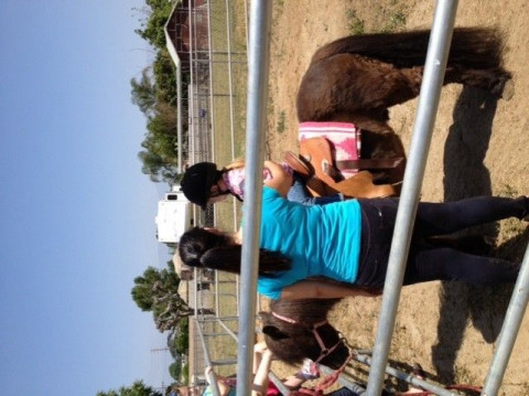 Visit Bit of Heaven Riding School