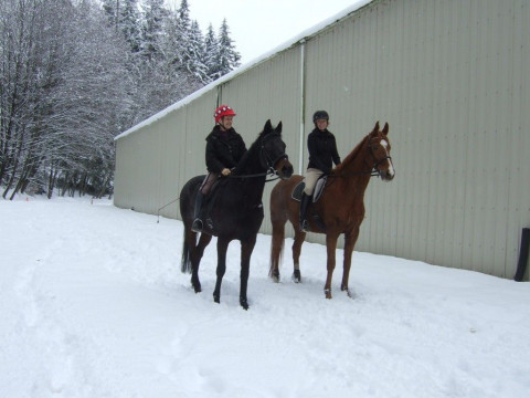 Visit Creekside Stables