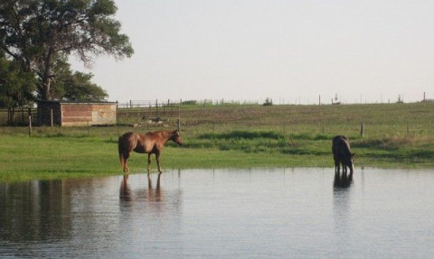 Visit C Lazy K Horses and Hay