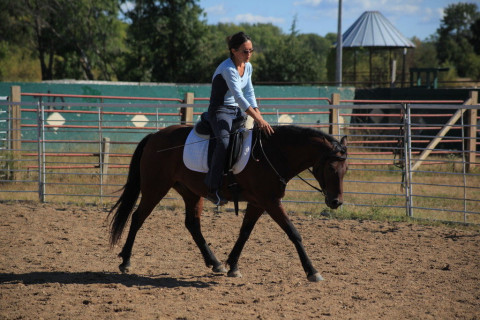 Visit Dances & Dreams Horsemanship