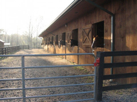 Visit Lonesome Creek Stables Equine Training Center