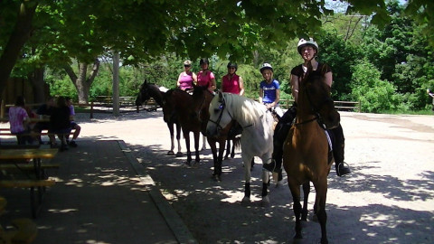 Visit Rach Riding Academy