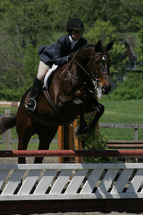 Visit Tedesco Stables @ Angier Farm