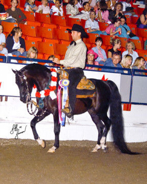 Visit Prairie Gem Stables LLC