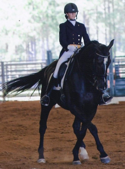 Visit Jenn Boblitt Dressage