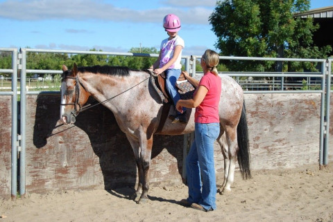 Visit Dal Porto Ranch - Lessons & Training