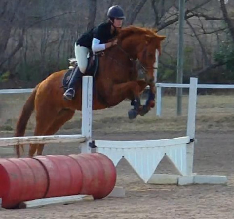 Visit Sterling Hunter/Jumpers Riding School