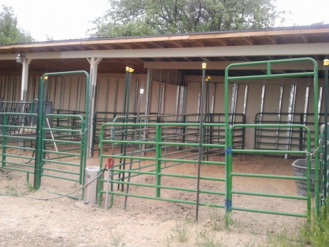 Visit carriagetowne stables