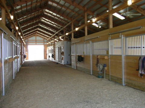 Visit White Dogwood Farm & Stables