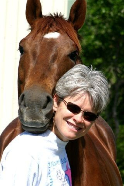 Visit Lonestar Horseshoeing