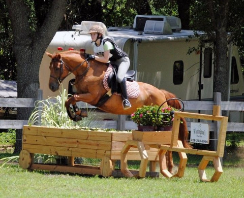 Visit BCM Morring Farm- Michele Morring