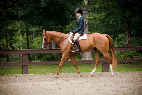 Visit Concord Equestrian Center